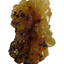 Paradamite - image 2