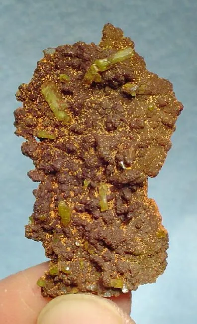 Paradamite image