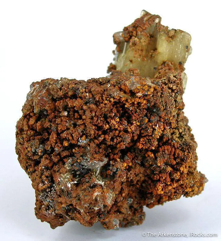 Paradamite - image 2