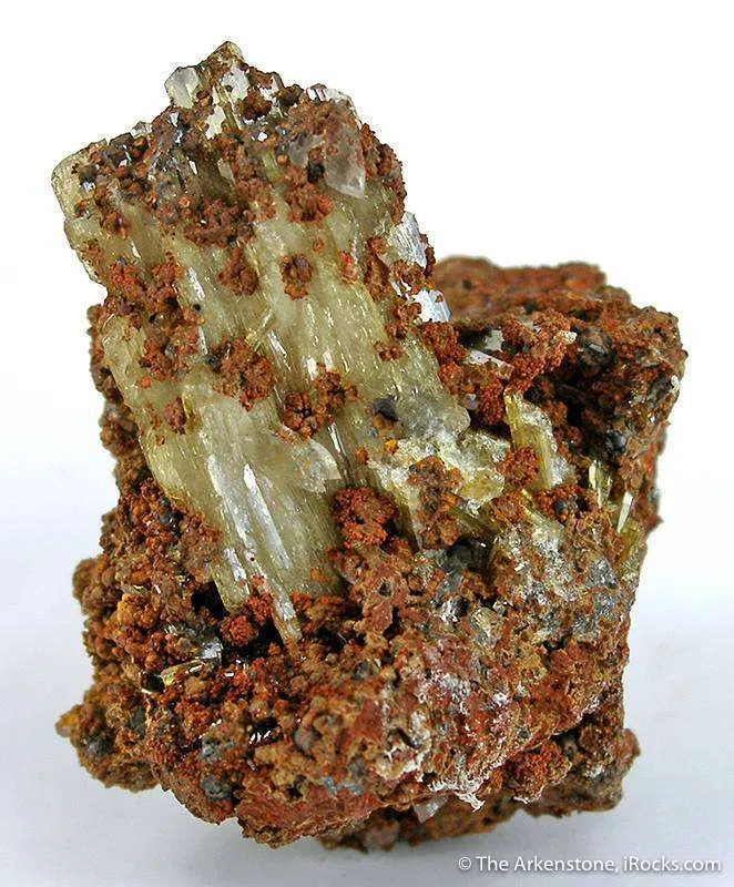 Paradamite image