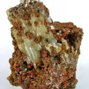 Paradamite - image 1
