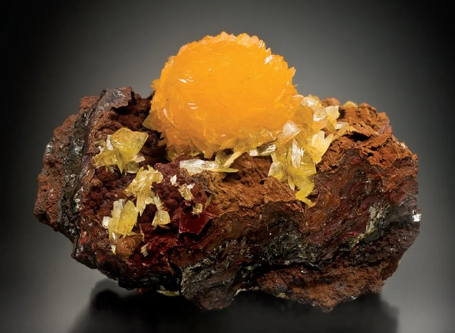 Paradamite - image 1