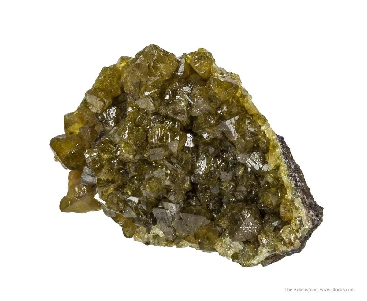 Paradamite - image 2