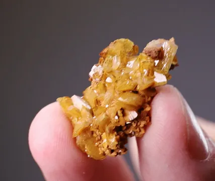 Paradamite