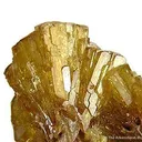 Paradamite - image 2