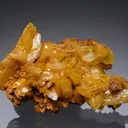 Paradamite - image 1