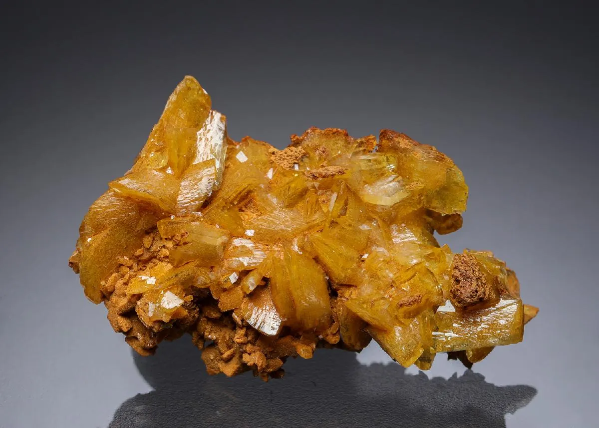 Paradamite - image 1