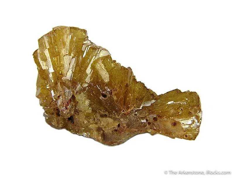 Paradamite image