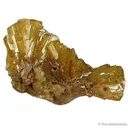 Paradamite - image 1