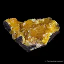 Paradamite - image 3