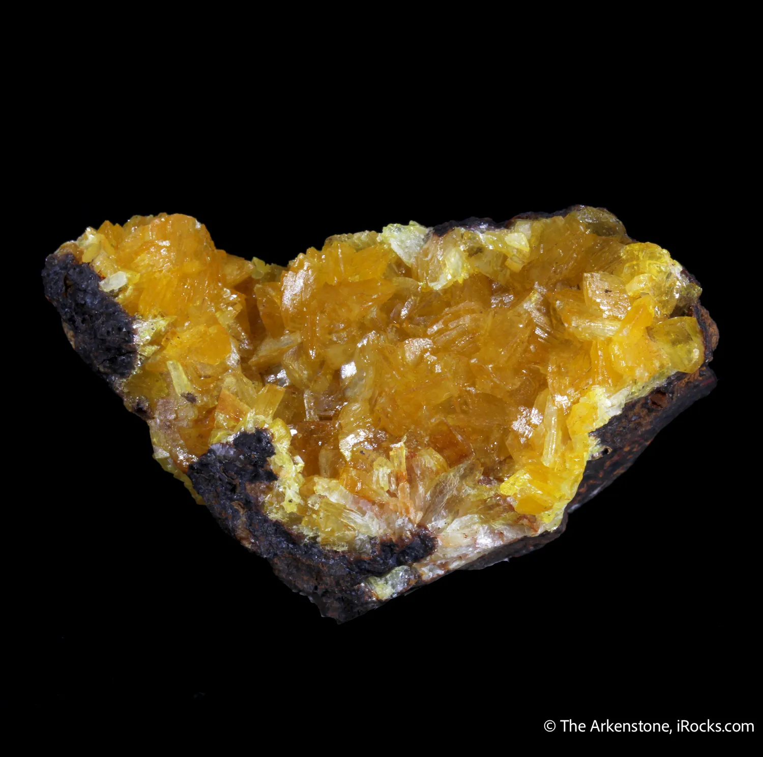 Paradamite - image 3