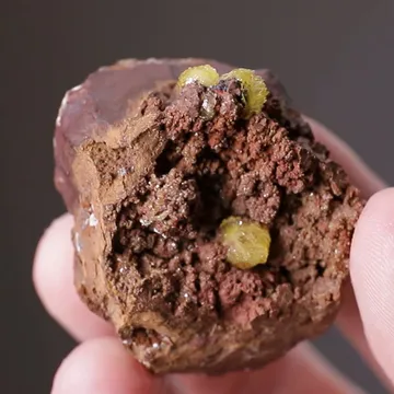 Paradamite