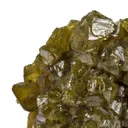 Paradamite - image 4