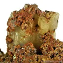 Paradamite - image 4
