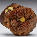 Paradamite - image 1