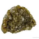 Paradamite - image 3