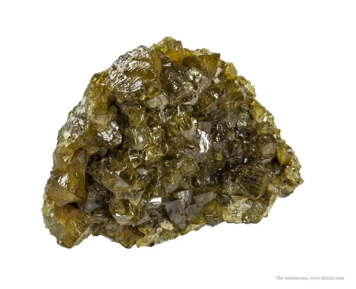 Paradamite - image 3