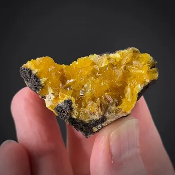 Paradamite