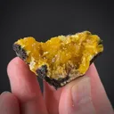 Paradamite - image 1