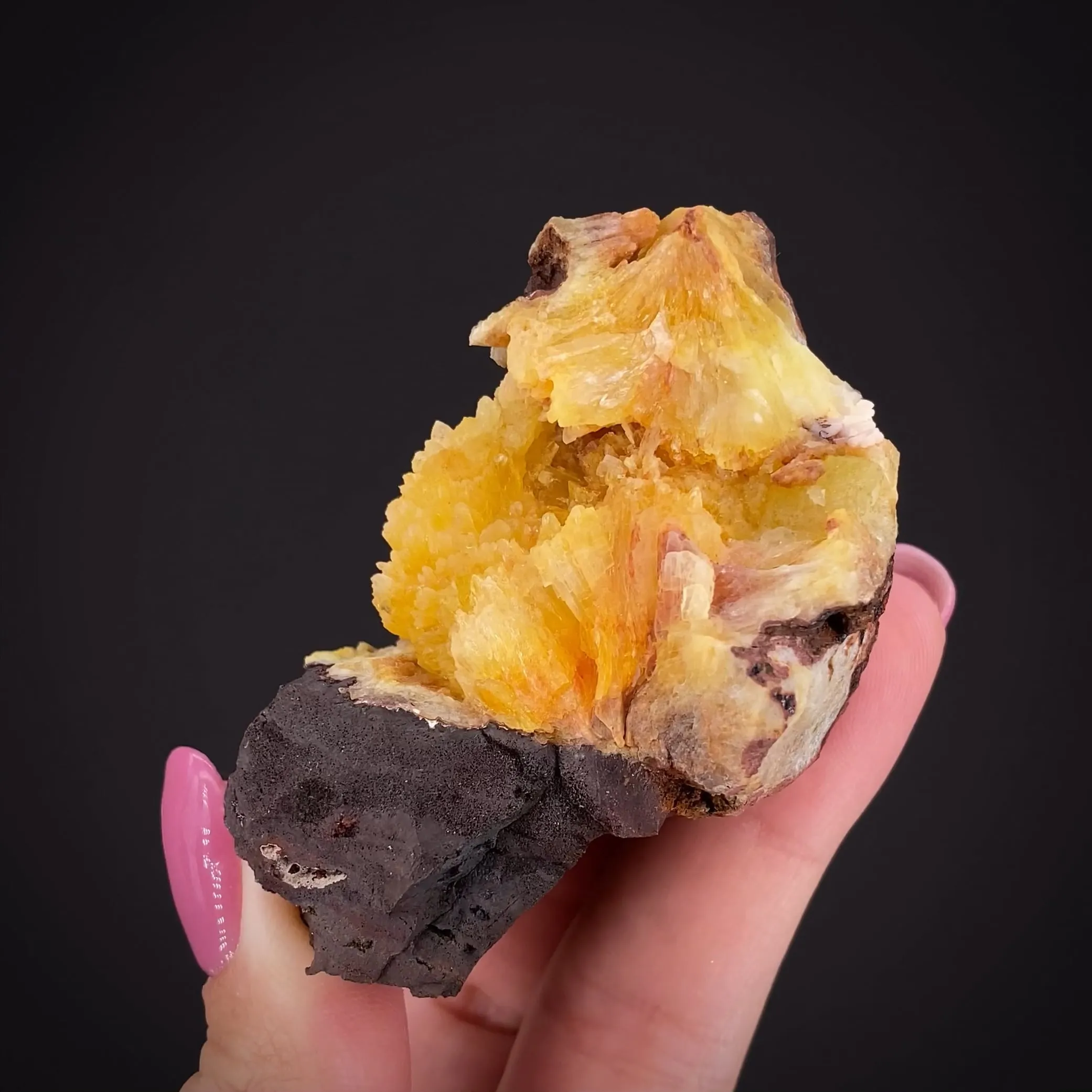 Paradamite (Illustrated) - image 2