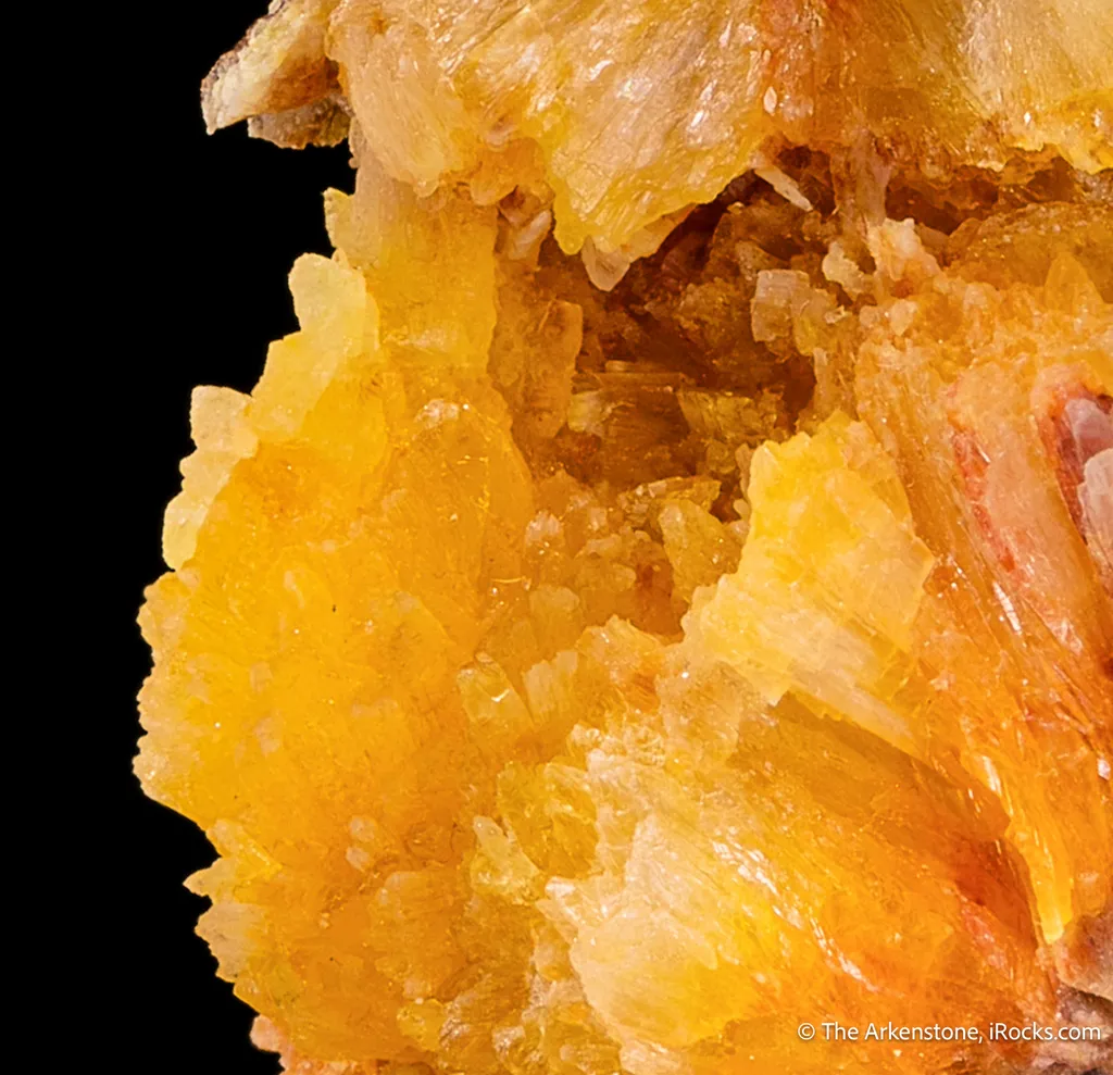 Paradamite (Illustrated) - image 5
