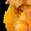 Paradamite (Illustrated) - image 5