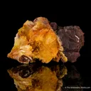 Paradamite (Illustrated) - image 1