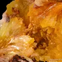 Paradamite (Illustrated) - image 4