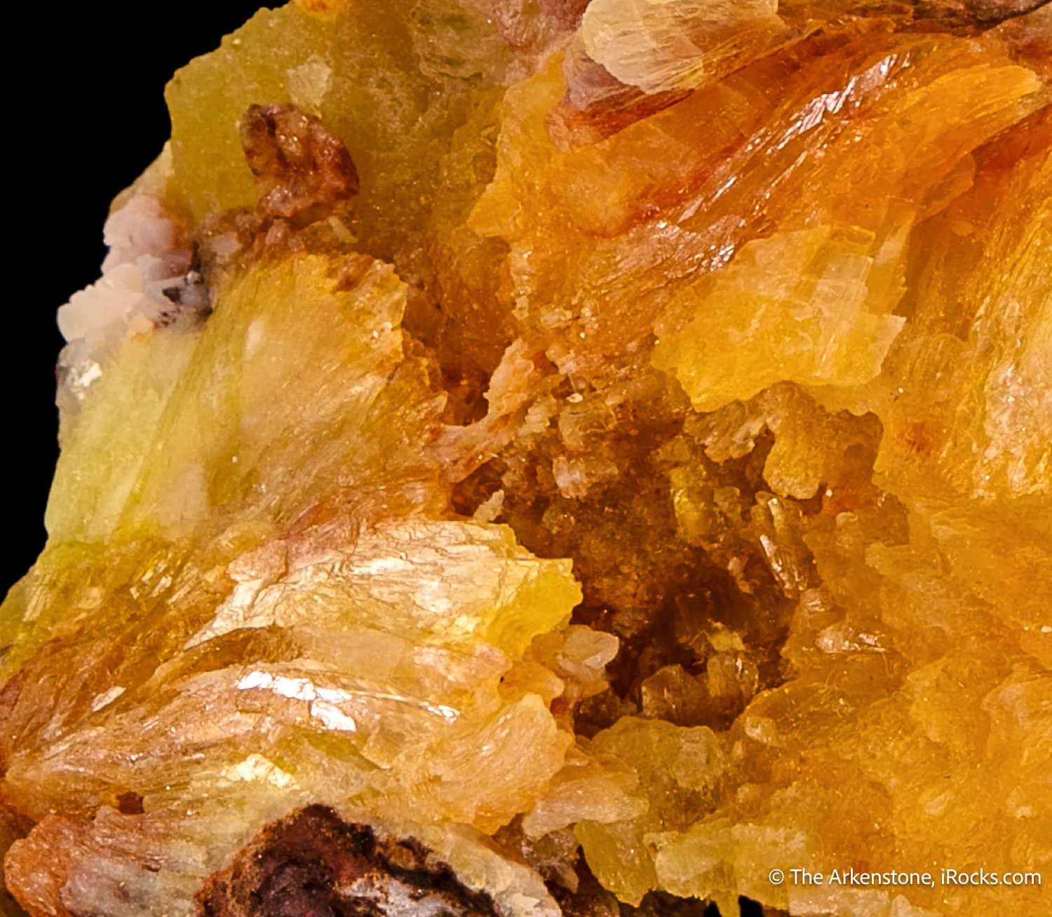 Paradamite (Illustrated) - image 4