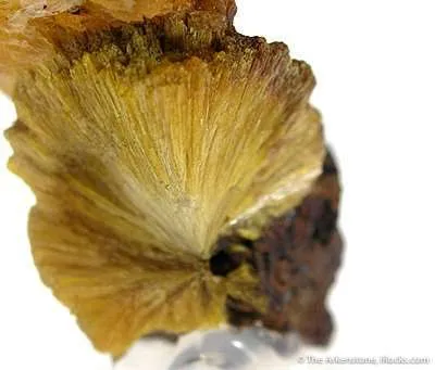 Paradamite on Legrandite - image 3