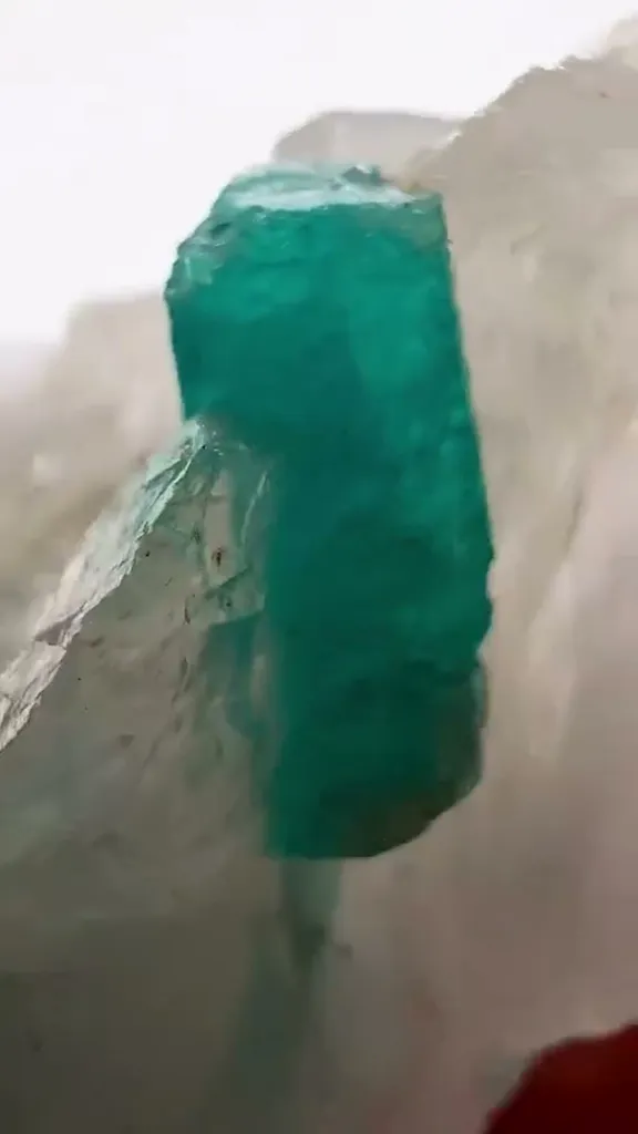 PARAÍBA MAGIC, FROZEN IN Quartz - image 4