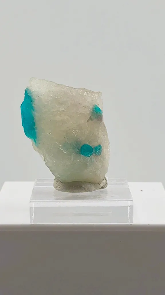 Paraiba Tourmaline in Quartz image