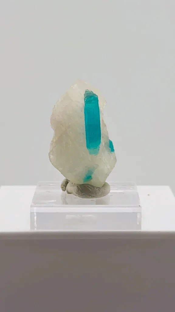 Paraiba Tourmaline in Quartz - image 2