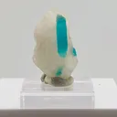 Paraiba Tourmaline in Quartz - image 2