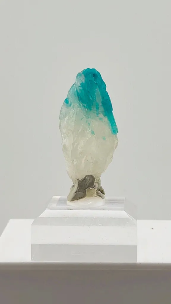 Paraiba Tourmaline in Quartz from Brazil image
