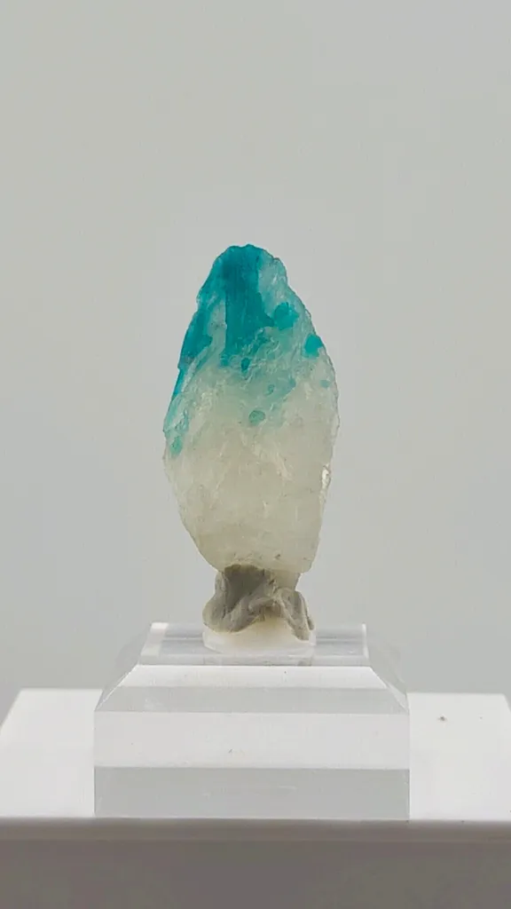 Paraiba Tourmaline in Quartz from Brazil - image 3
