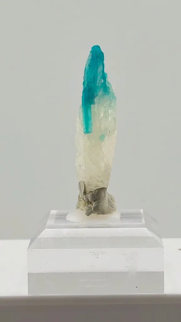 Paraiba Tourmaline in Quartz from Brazil - image 2