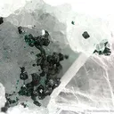 Paratacamite on Quartz - image 1