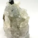 Paratacamite on Quartz - image 2