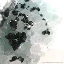 Paratacamite on Quartz With Selenite - image 1