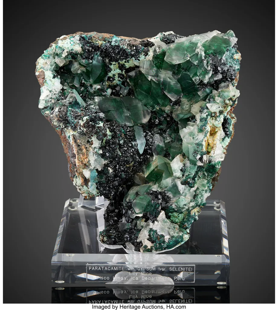 Paratacamite with Gypsum image