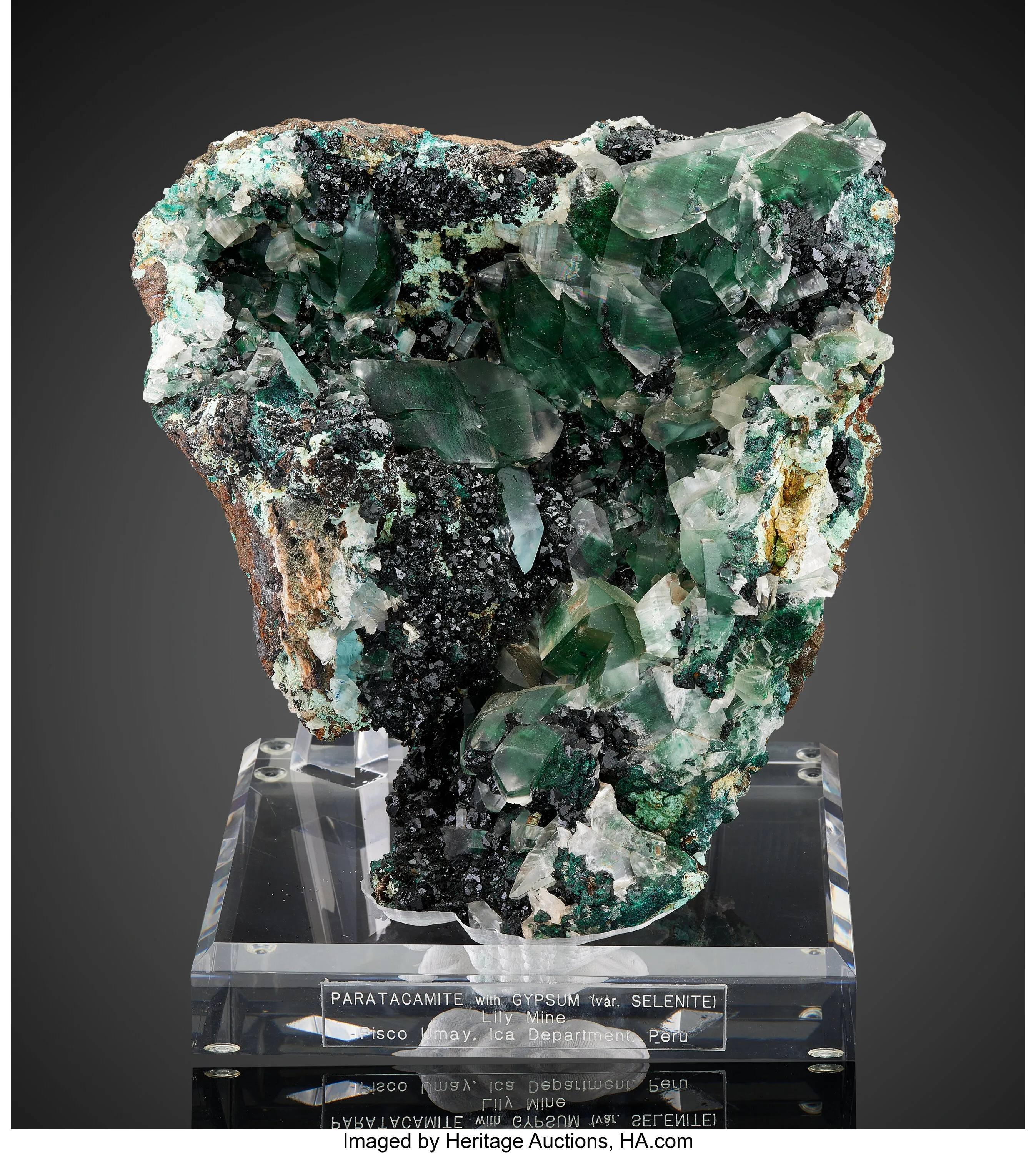 Paratacamite with Gypsum - image 1