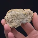 PARAVAUXITE on Wavellite - image 1