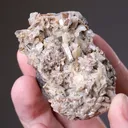 PARAVAUXITE with Childrenite - image 2