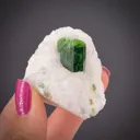 Pargasite on Calcite (marble) - image 2