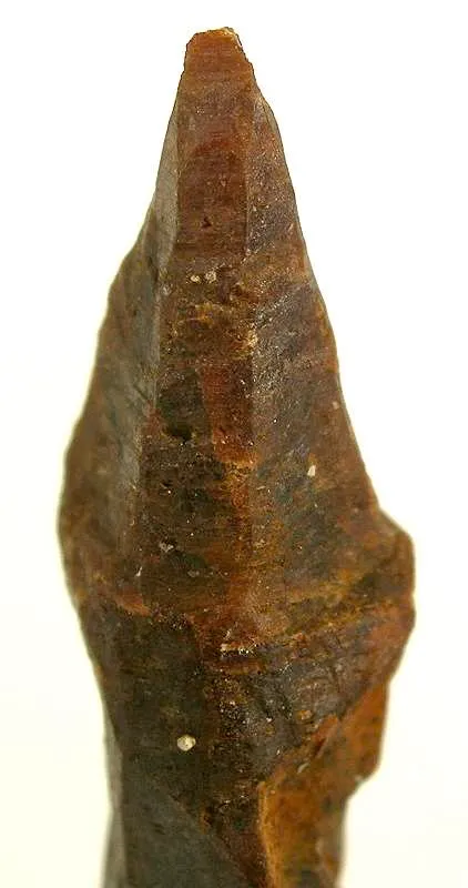 Parisite - image 4