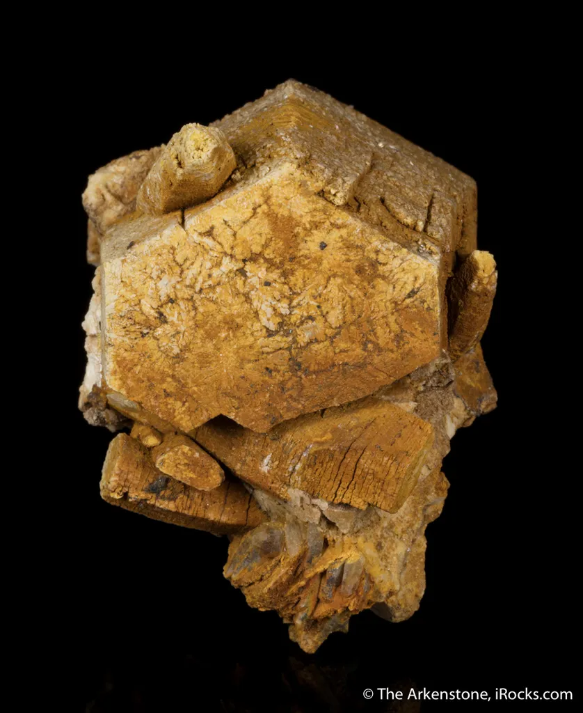Parisite - image 3
