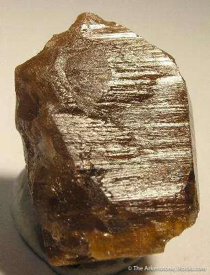 Parisite - image 2