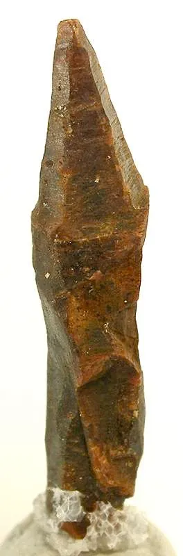 Parisite - image 3