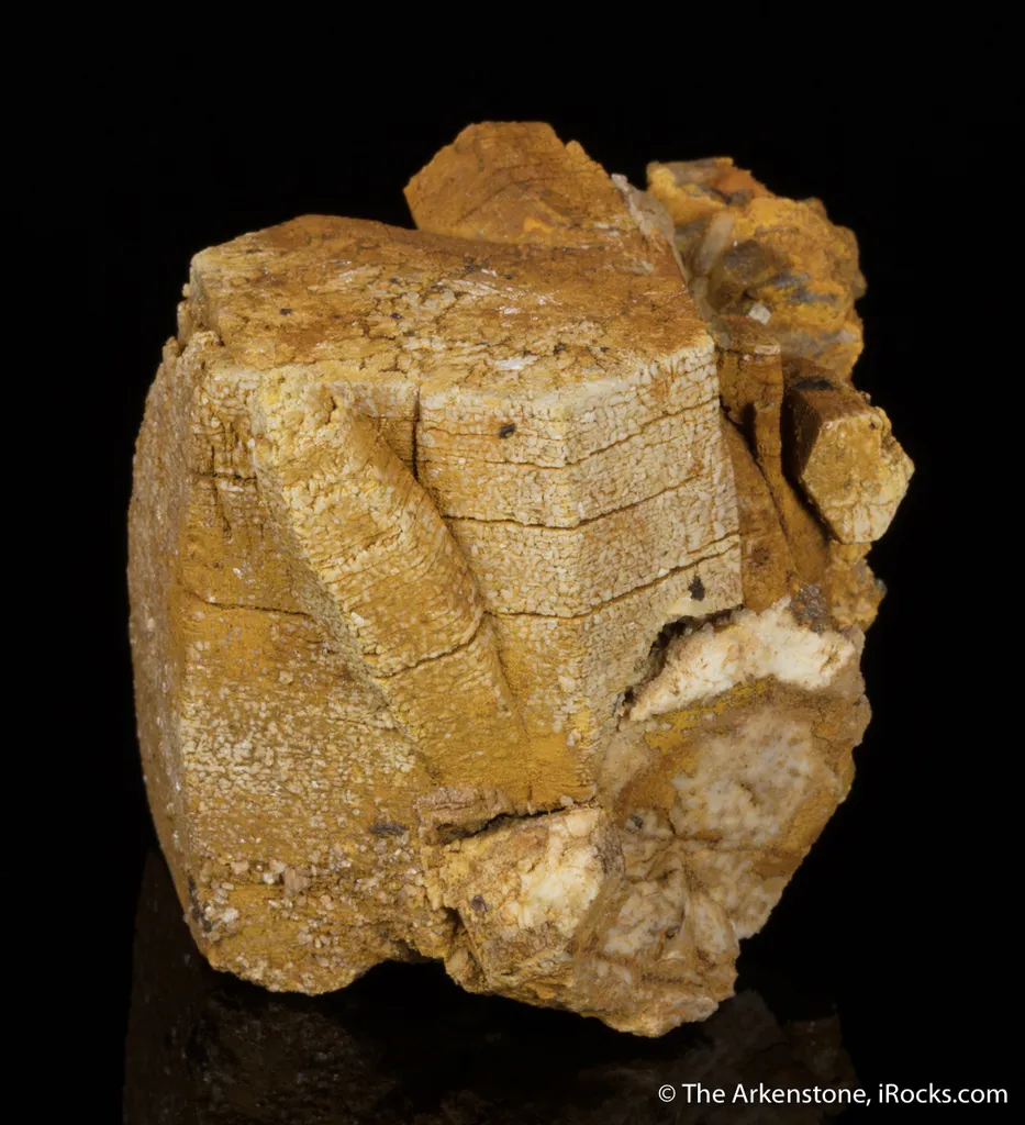 Parisite - image 6